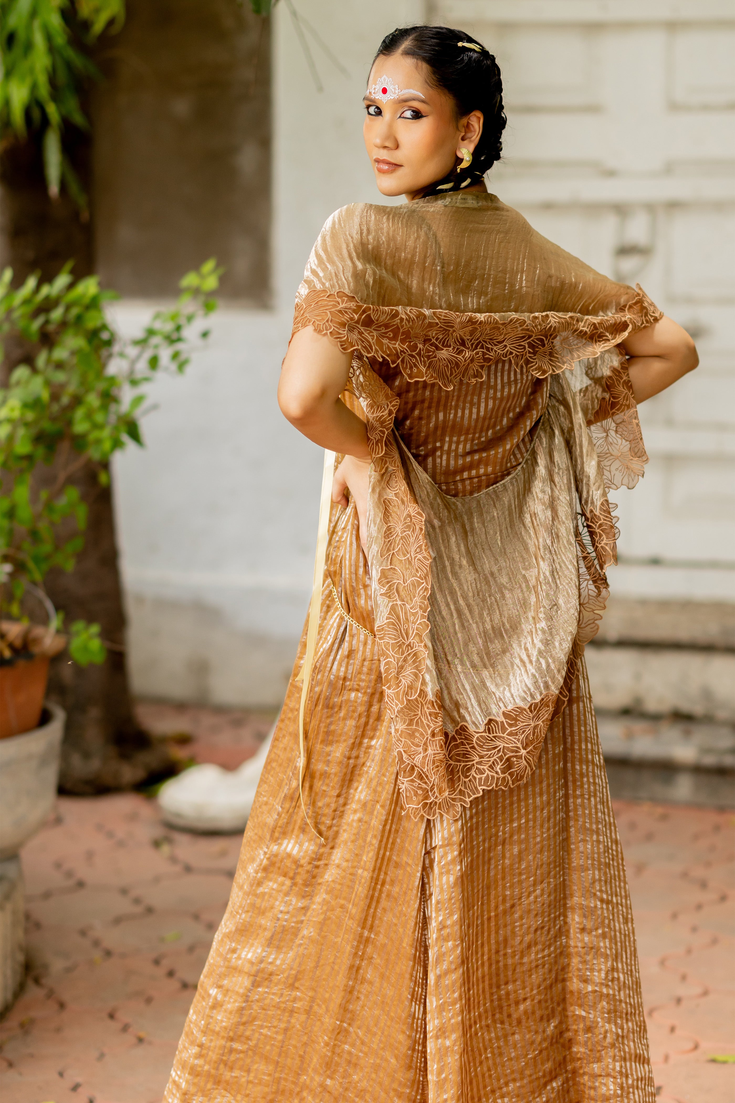 BROWN OVERLAY WITH STRIPE DRESS (Ritvi)