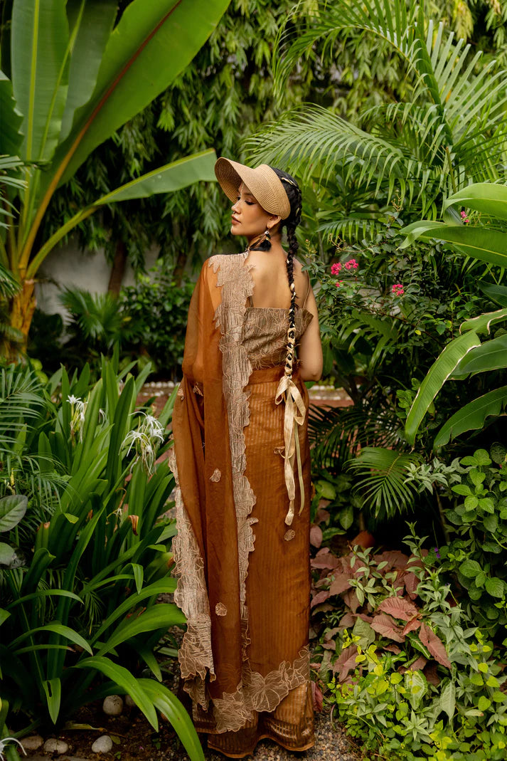 BROWN SAREE (helena)
