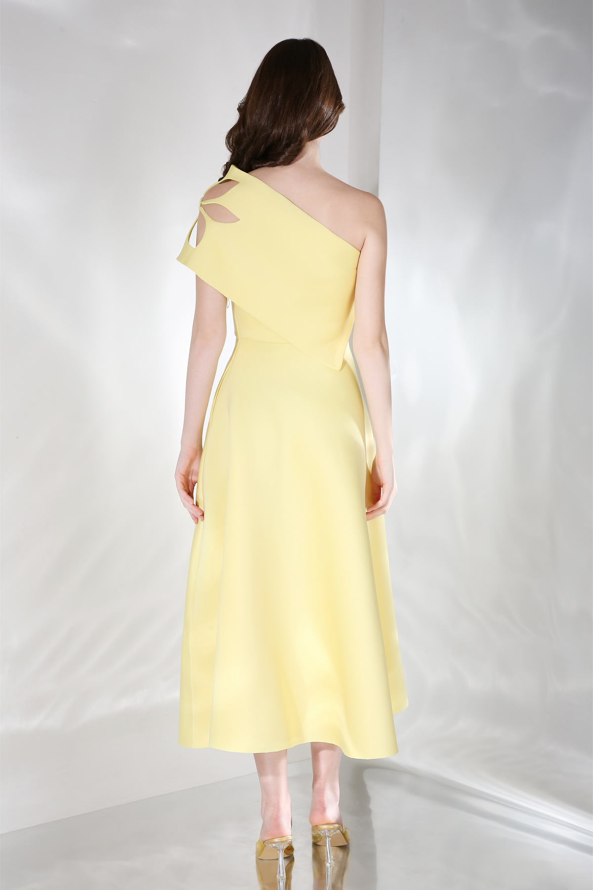 Daffodil x3
