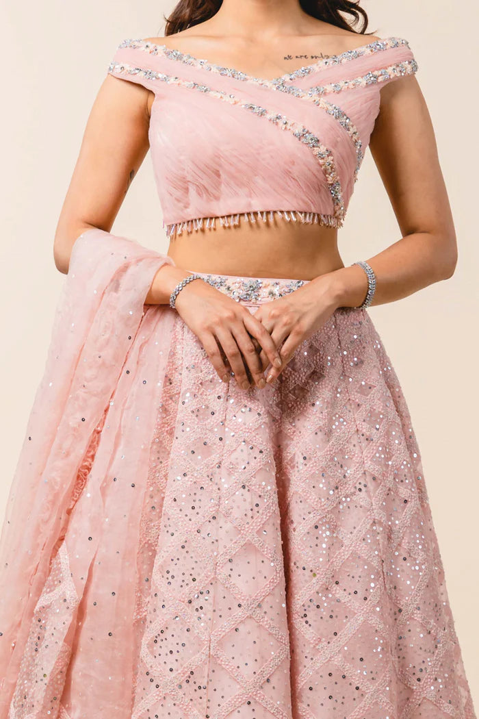 Blush -pink Net Lehenga Choli Se