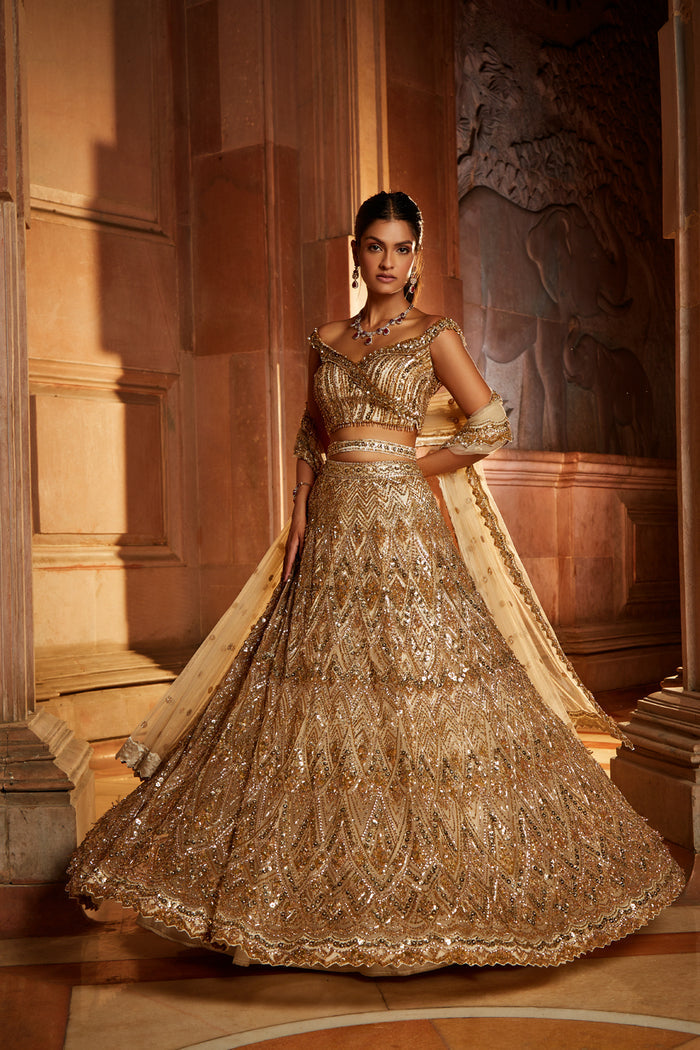 Champagne Gold Tulle Lehenga Choli Dupatta Set with Worked Belt