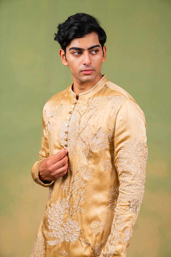 ZARI BAAGH
