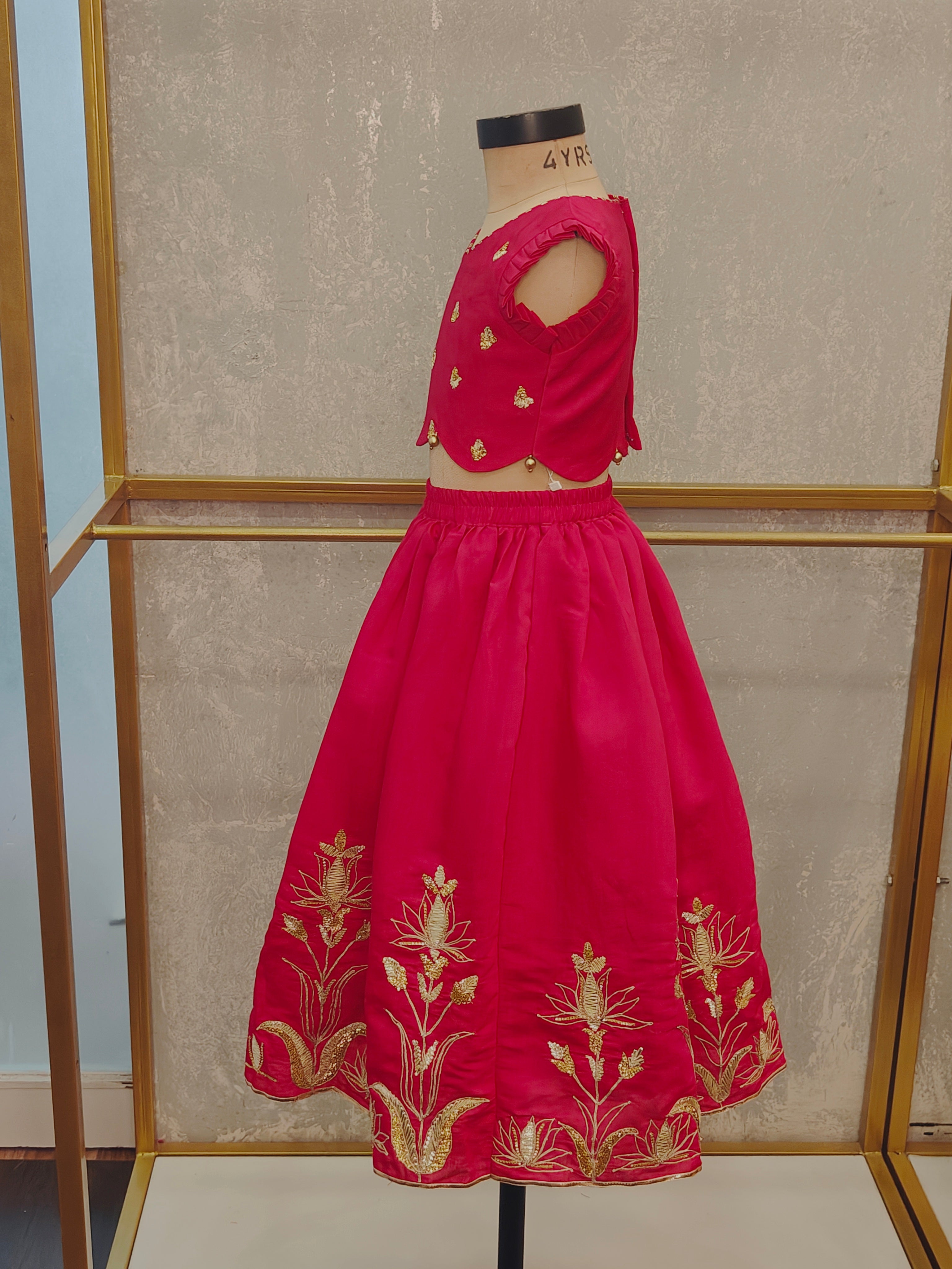 Rani Pink Heavy Emroidery Ghaghra