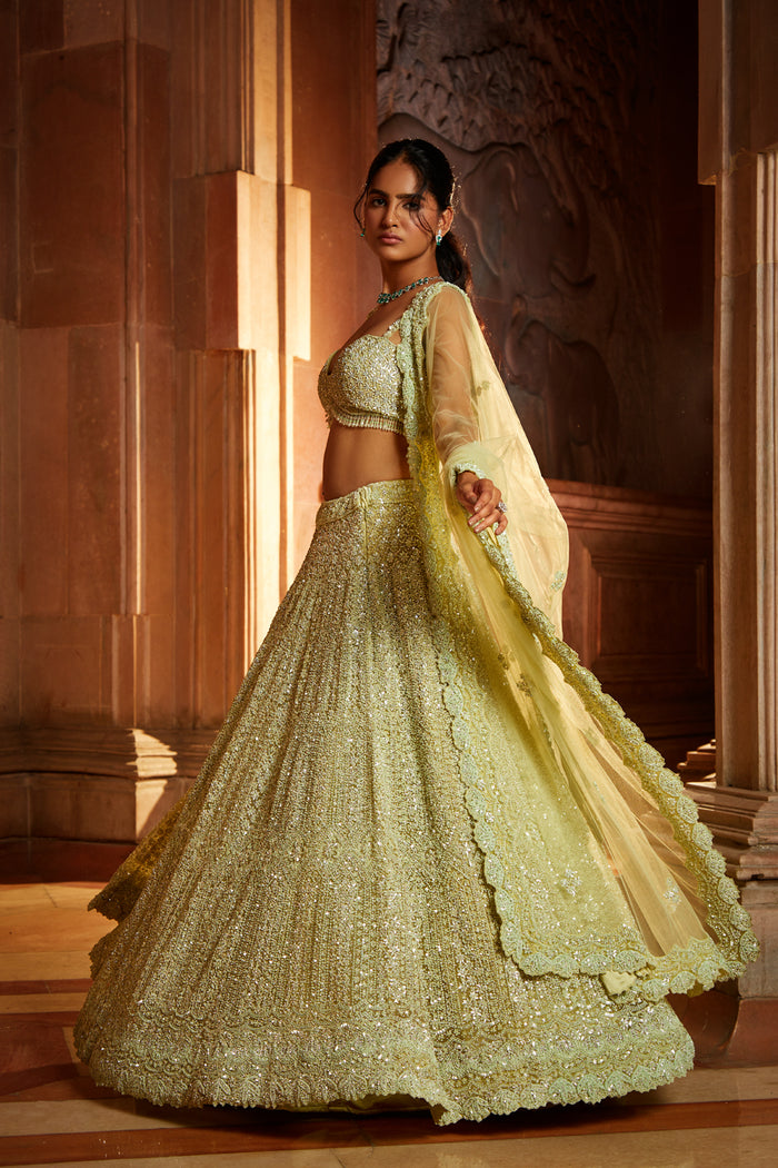 Lime Green Tulle Lehenga Choli Dupatta Set