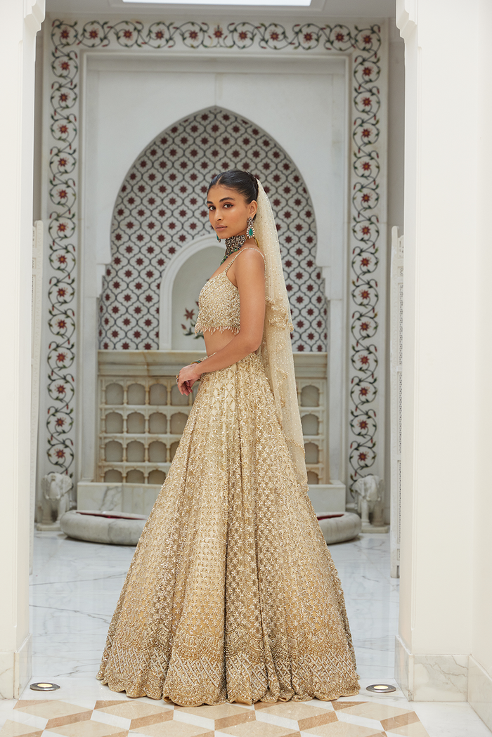 BEIGE OMBRE LEHENGA CHOLI WITH NET DUPATTA