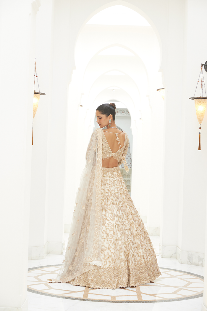 LIGHT BEIGE NET LEHENGA CHOLI SET