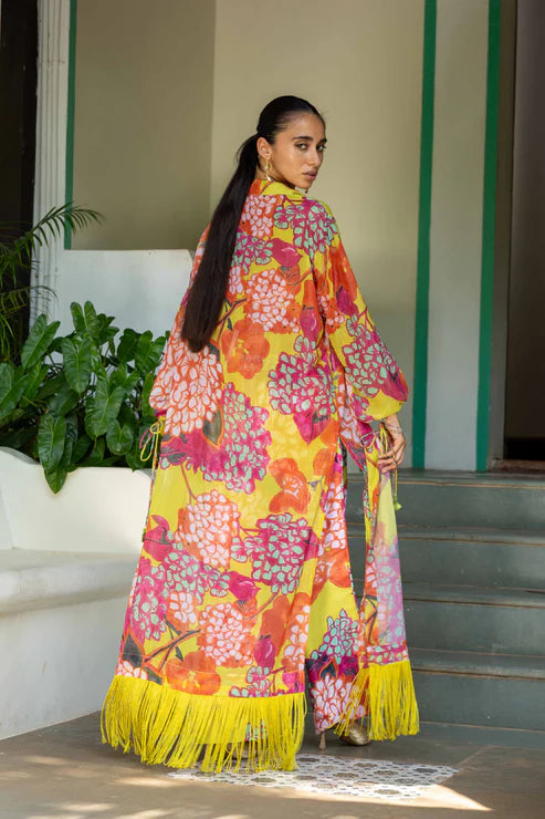 Valley of flower Overlay