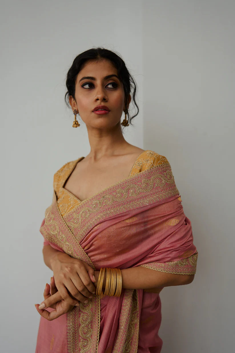 Anchovies Saree