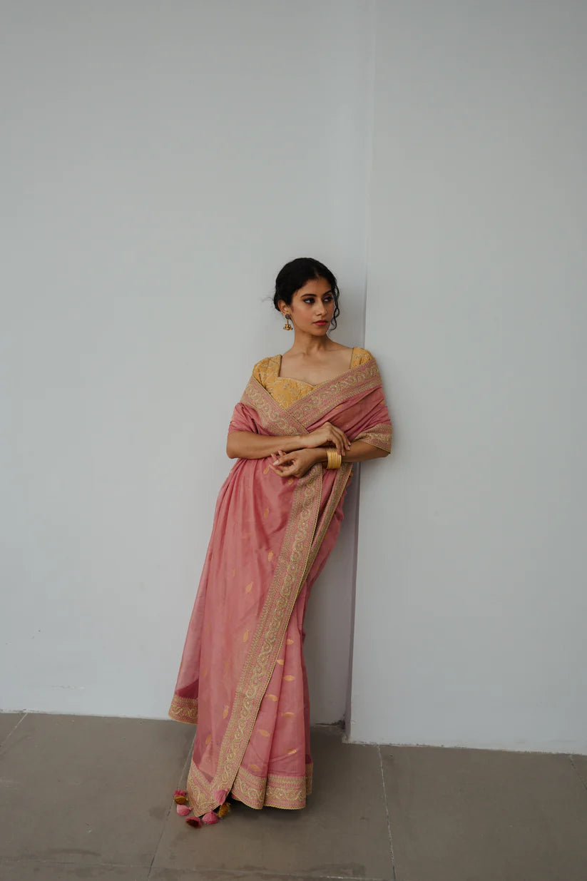 Anchovies Saree