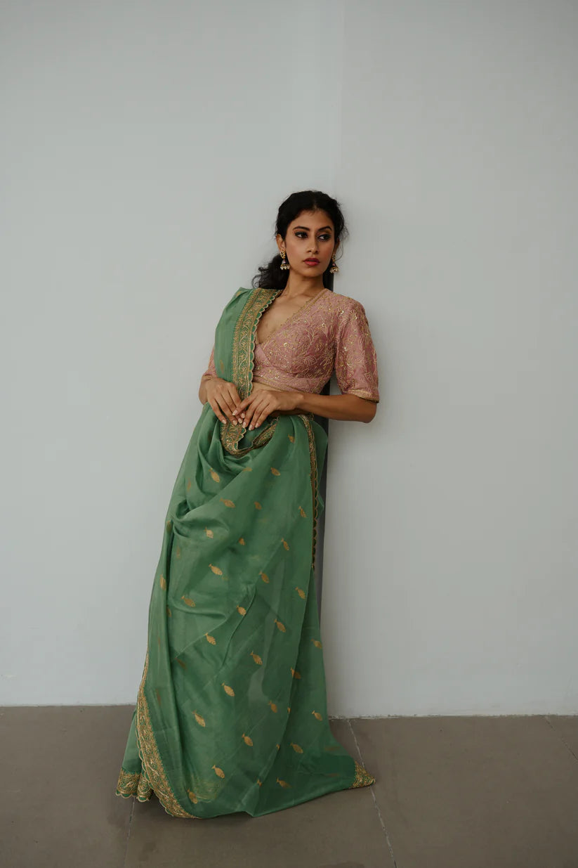 Anchovies Saree
