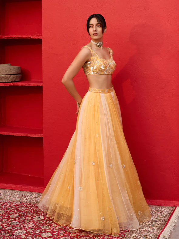 DEWDROP HONEY ORGANZA LEHENGA SET