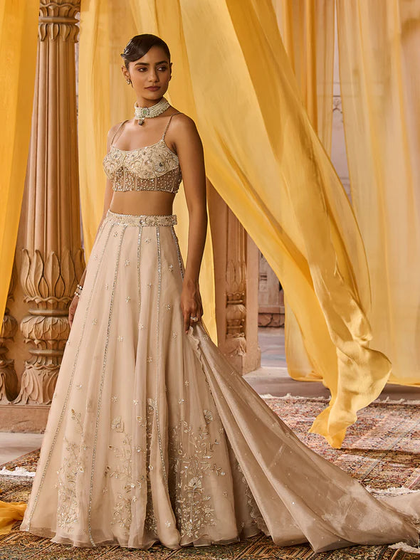 Moon Ash Organza Lehenga Set