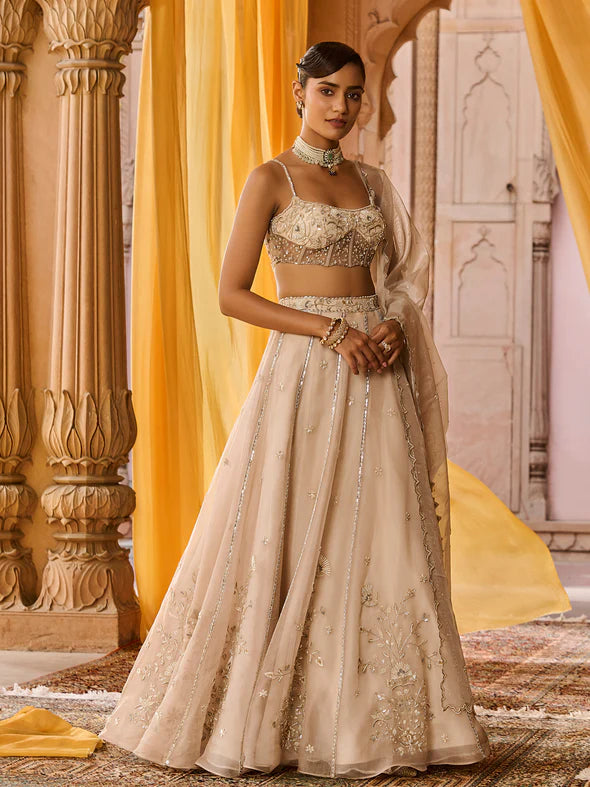 Moon Ash Organza Lehenga Set