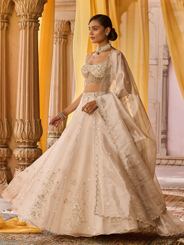 Moon Ash Organza Lehenga Set