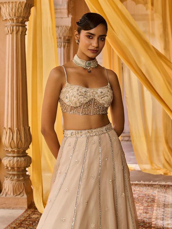 Moon Ash Organza Lehenga Set