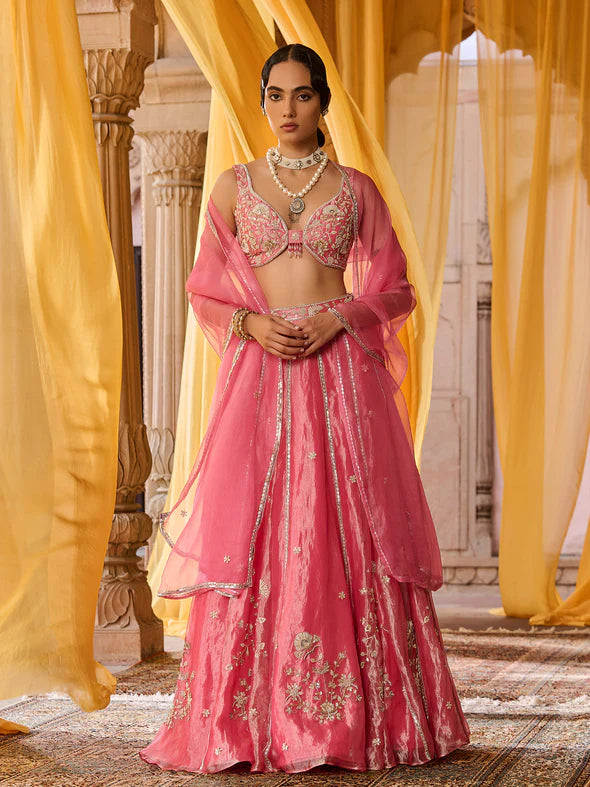 Elysia Pink Tissue Lehenga Set