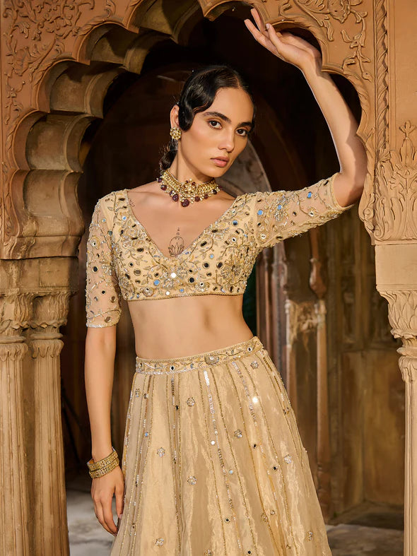 Gold Gaze Tissue Lehenga Set