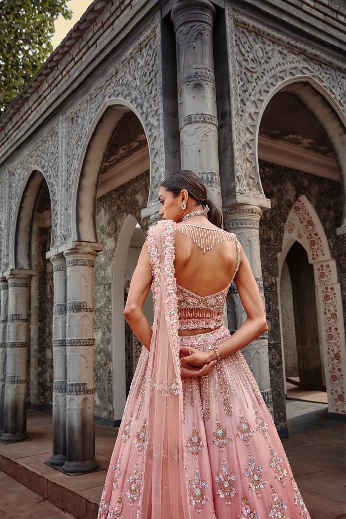 Rose Ombré Organza Lehenga Set
