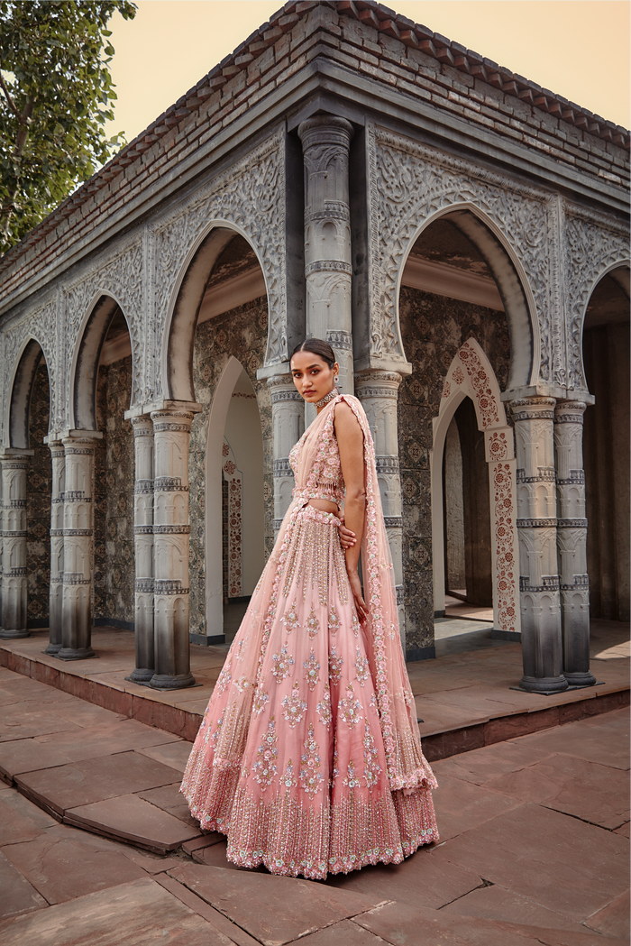 Rose Ombré Organza Lehenga Set