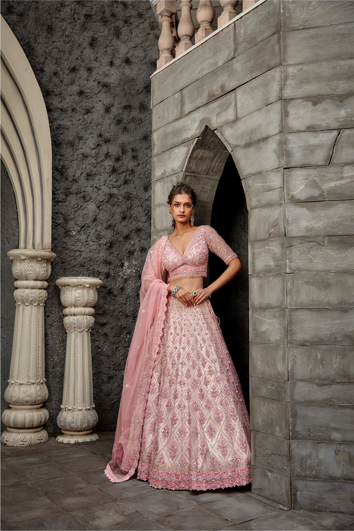 Blush Tulle Gota & Resham Lehenga