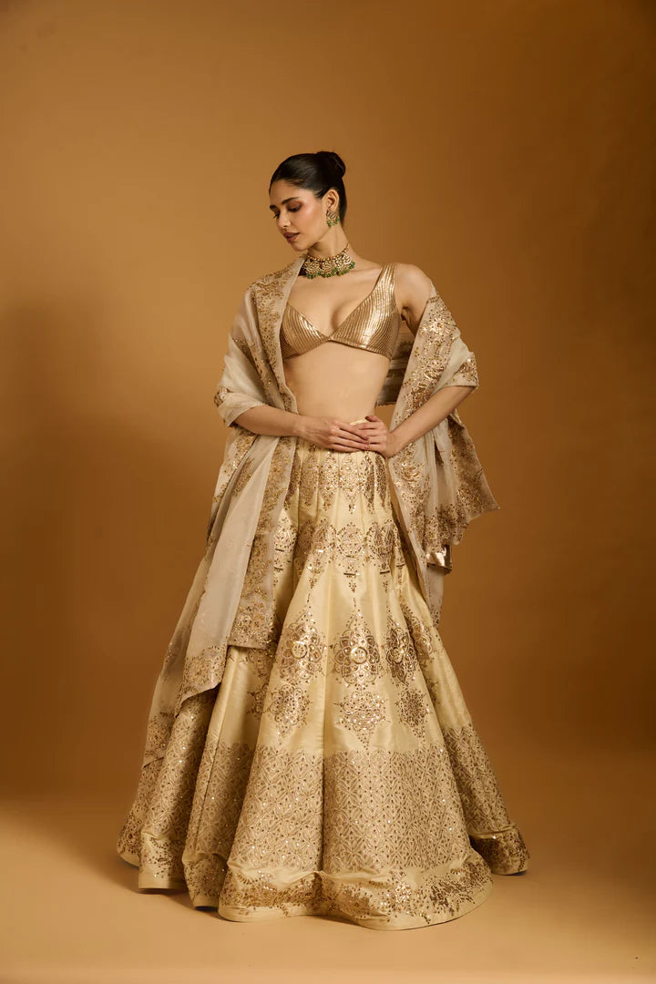 Trifecta beige sequin lehenga
