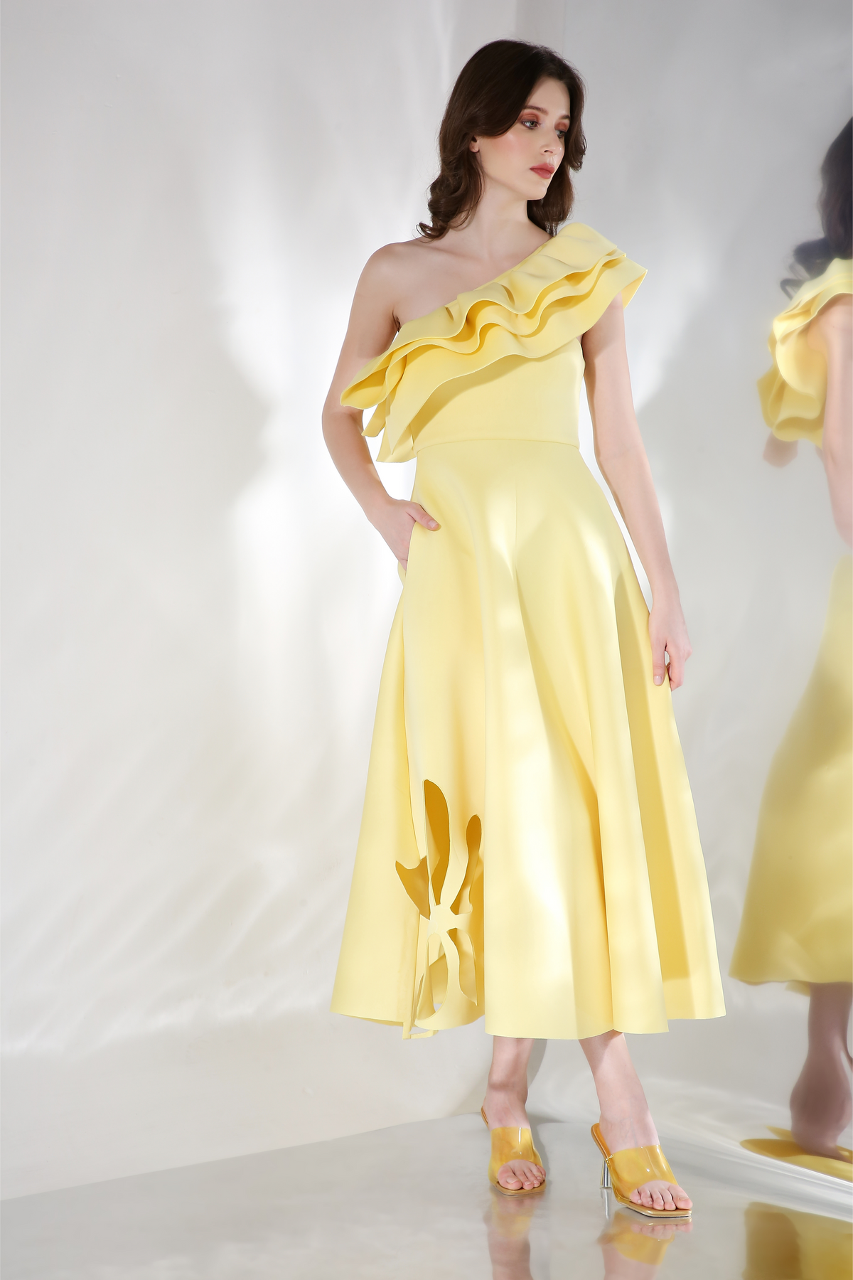 Daffodil x3