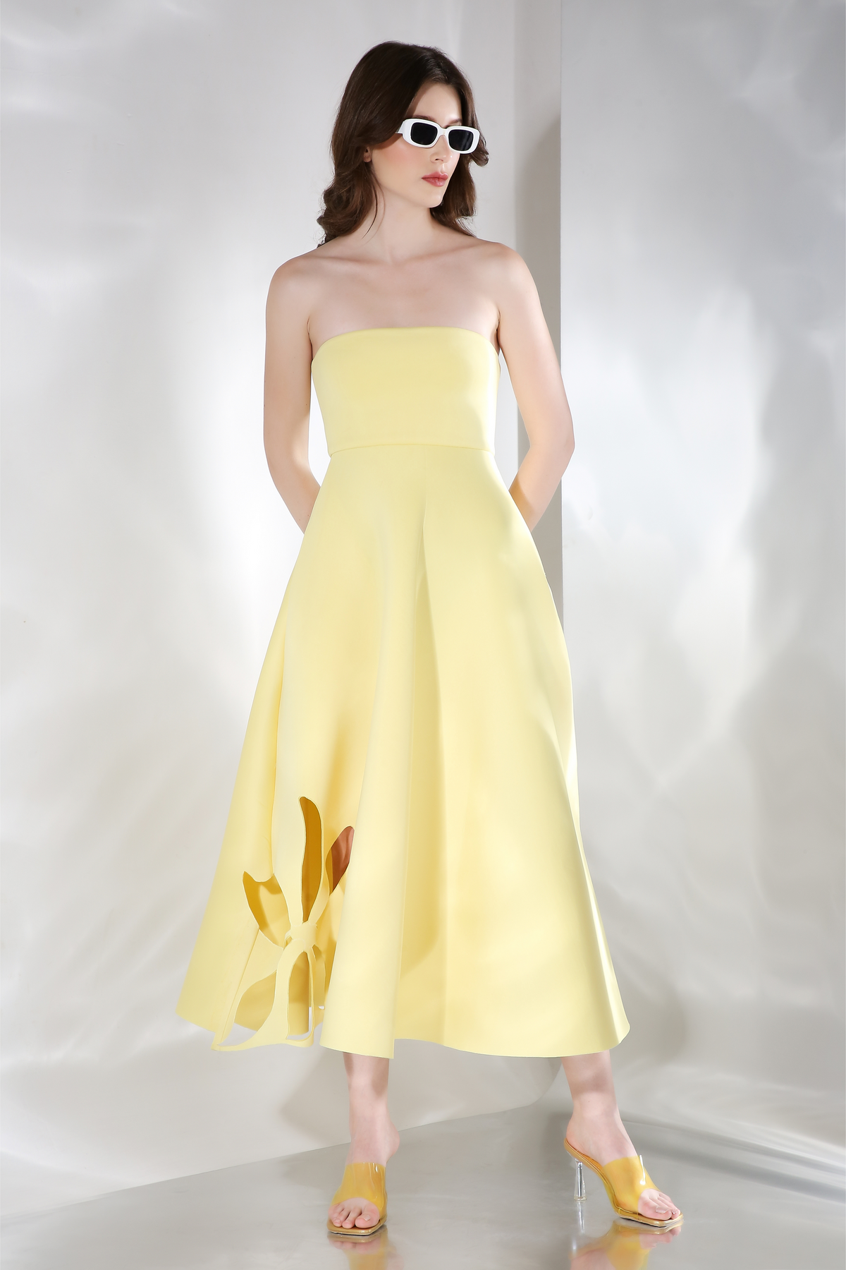 Daffodil x3