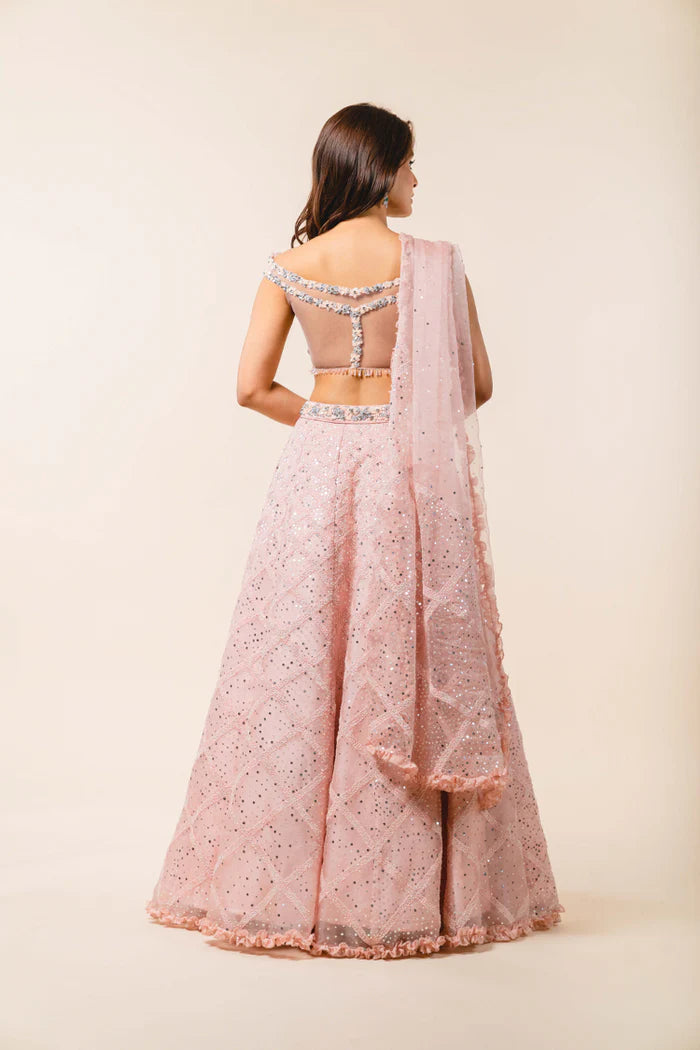 Blush -pink Net Lehenga Choli Se