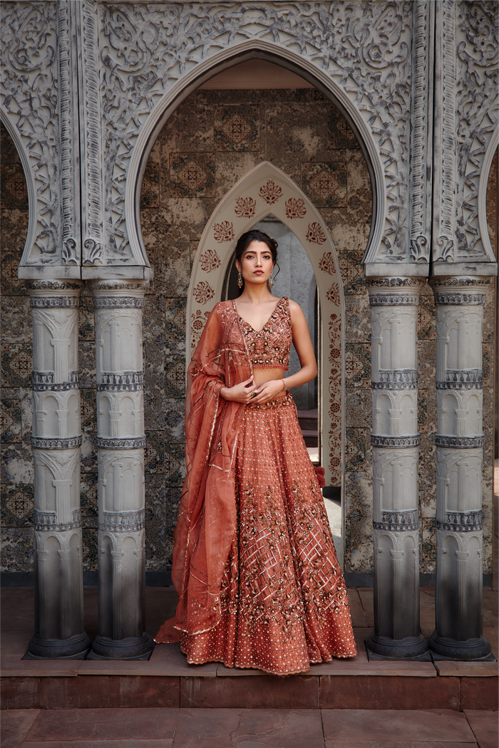 Copper Lehenga Choli Set