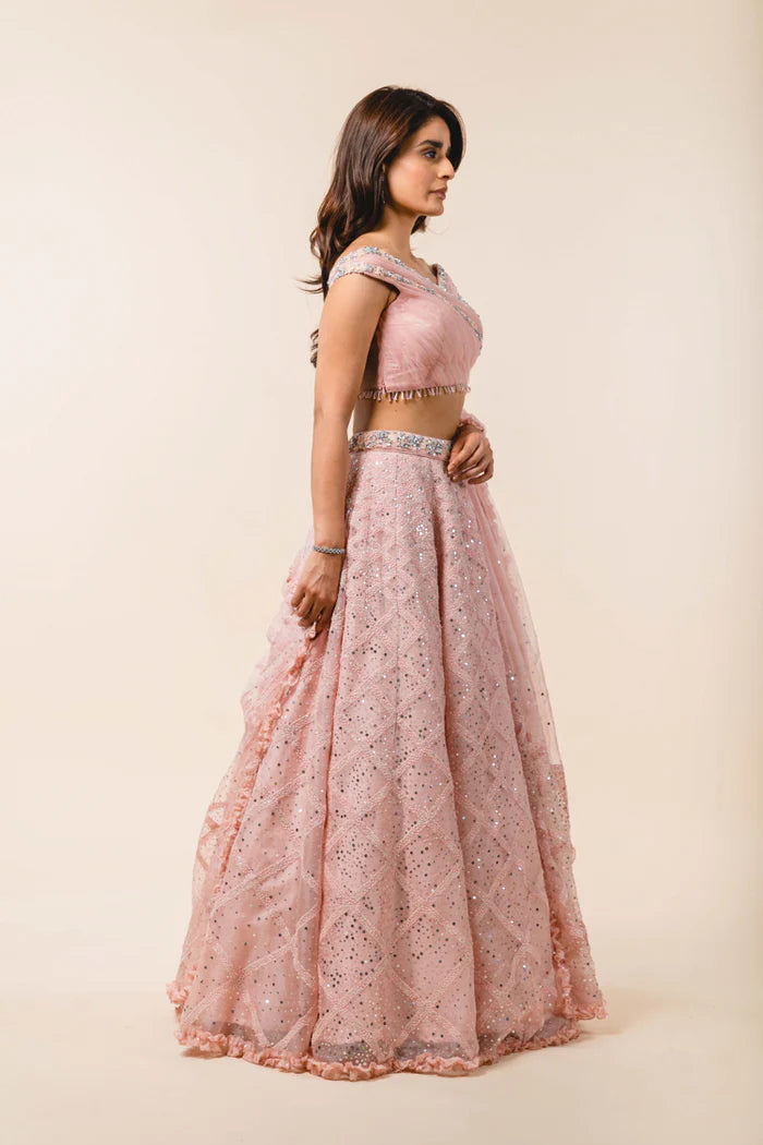 Blush -pink Net Lehenga Choli Se