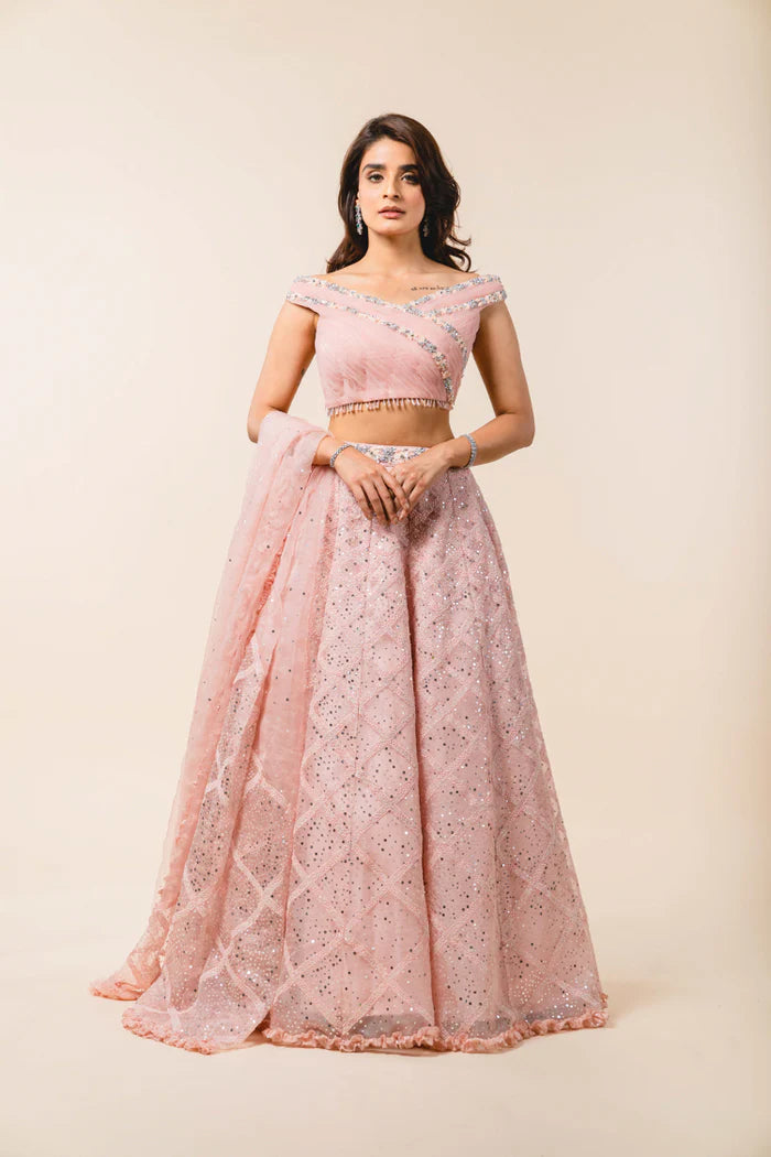 Blush -pink Net Lehenga Choli Se