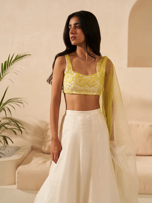 Tulip Lehenga Set