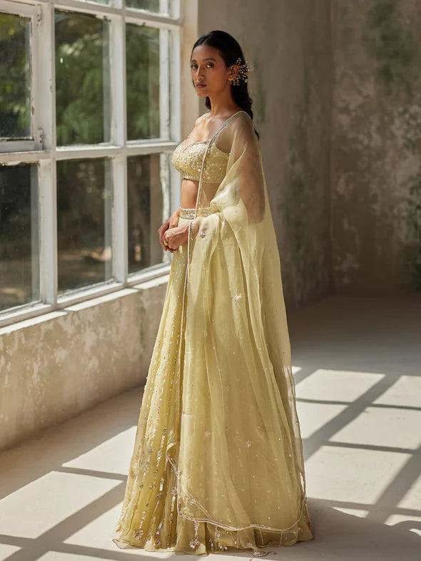 ETHEREAL GREEN SILK ORGANZA LEHENGA SET