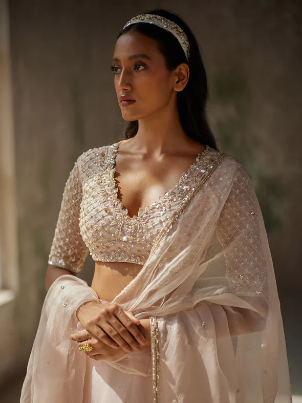 ELIXIR SILK ORGANZA LEHENGA SET