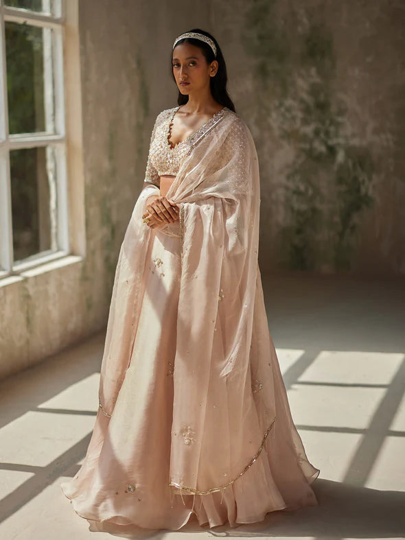 ELIXIR SILK ORGANZA LEHENGA SET