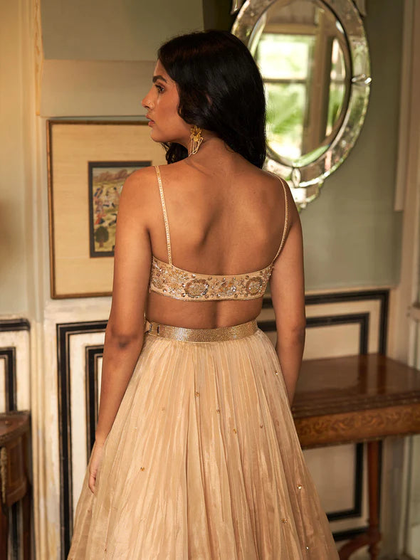 Golddust Organza Lehenga Set