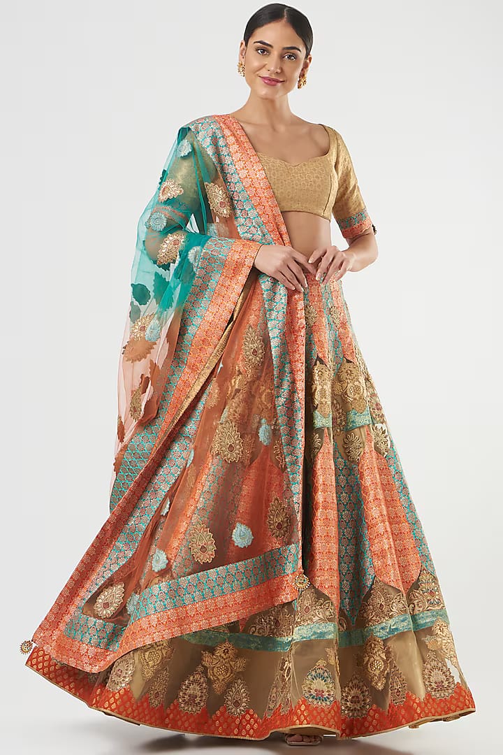Multi Coloured Embroidered Lehenga Set