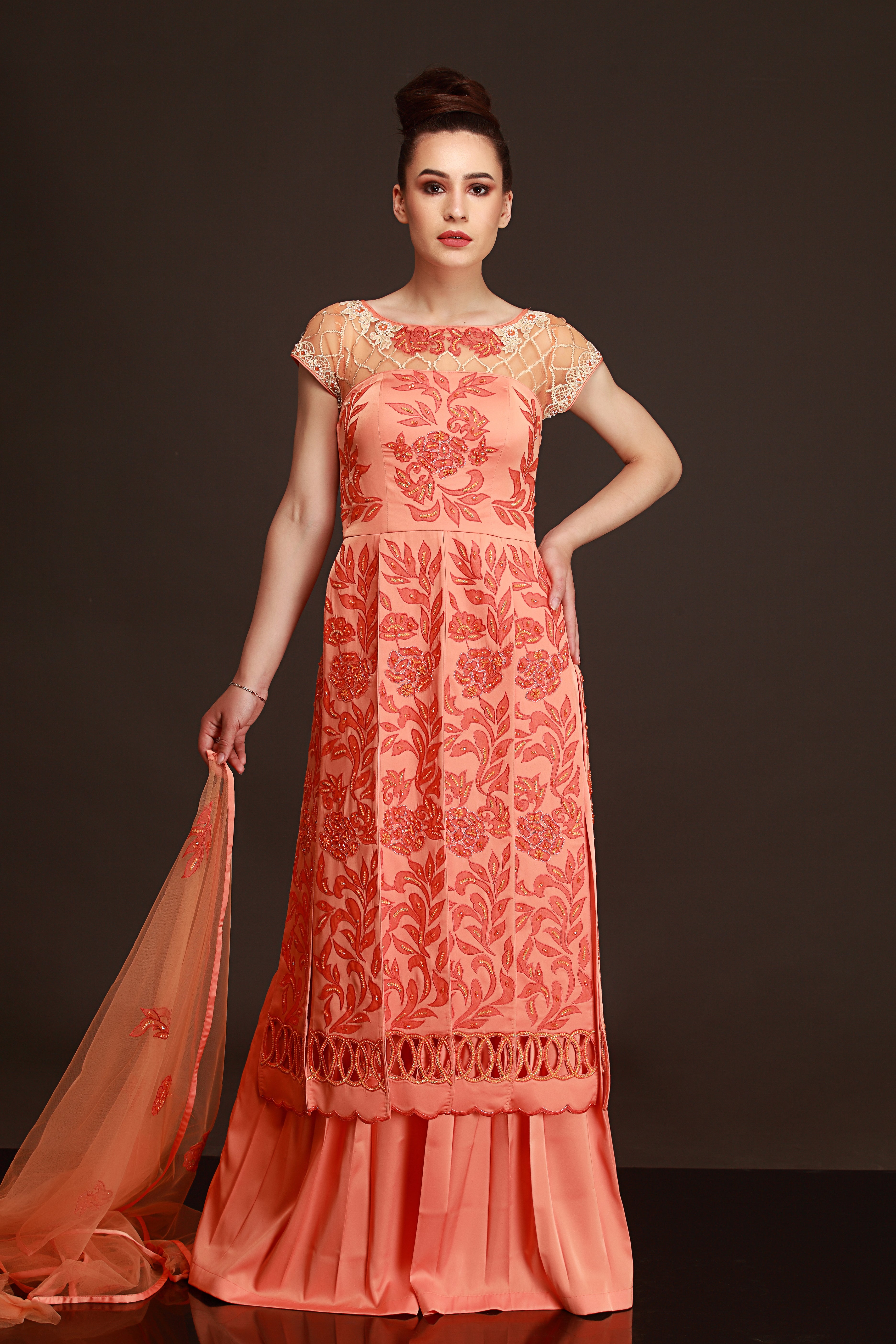 Panneled Gorgette Garara Suit