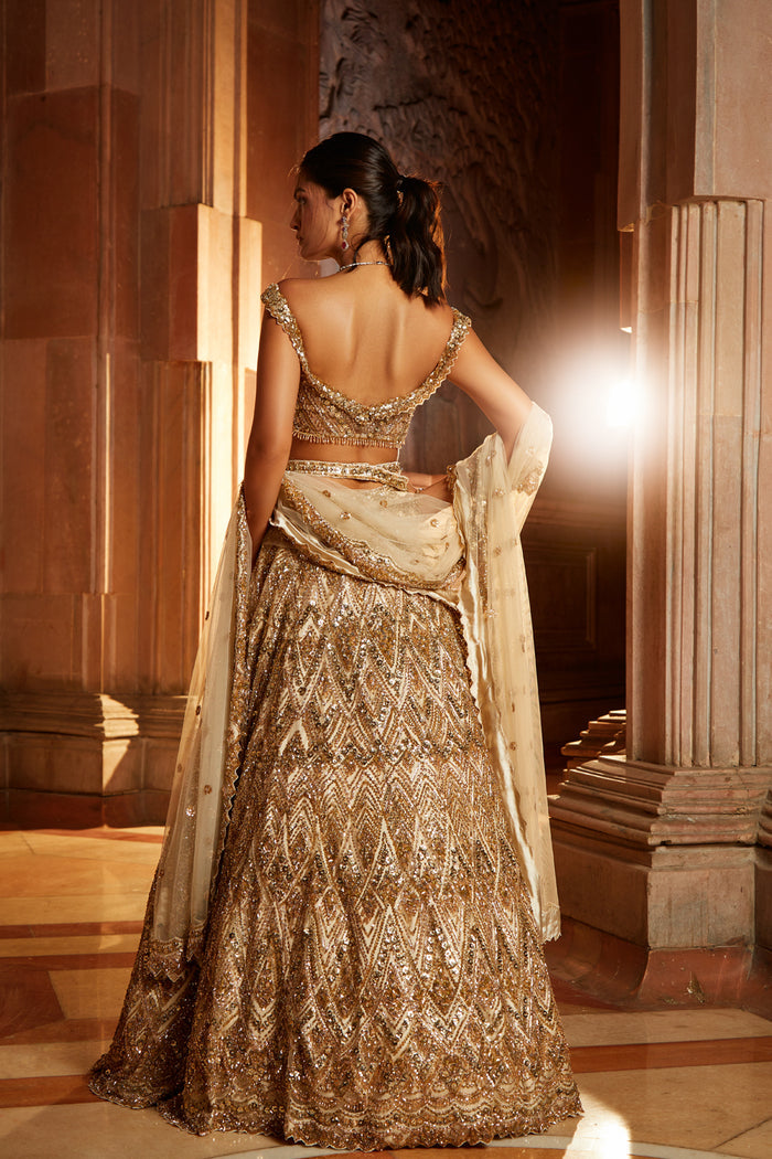 Champagne Gold Tulle Lehenga Choli Dupatta Set with Worked Belt
