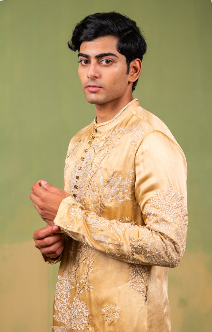 ZARI BAAGH