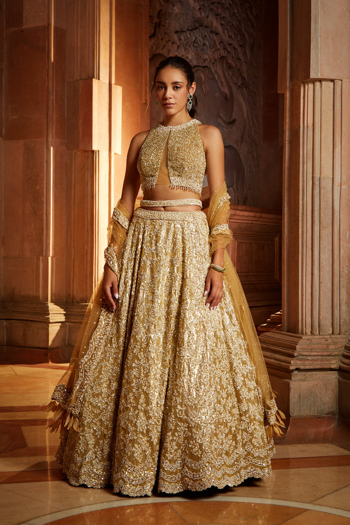 Gold Tulle Lehenga Choli Dupatta Set with Worked Belt