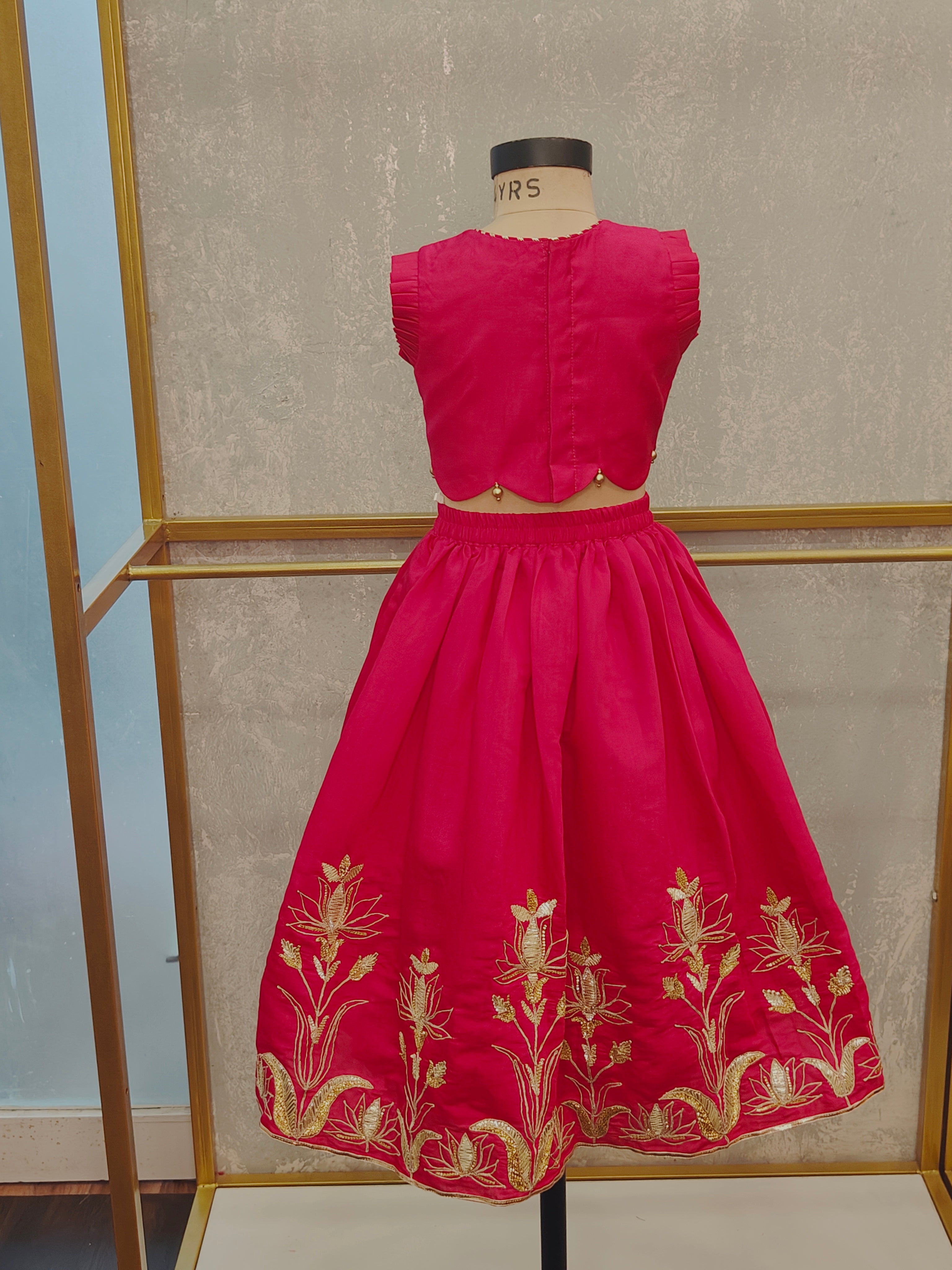 Rani Pink Heavy Emroidery Ghaghra