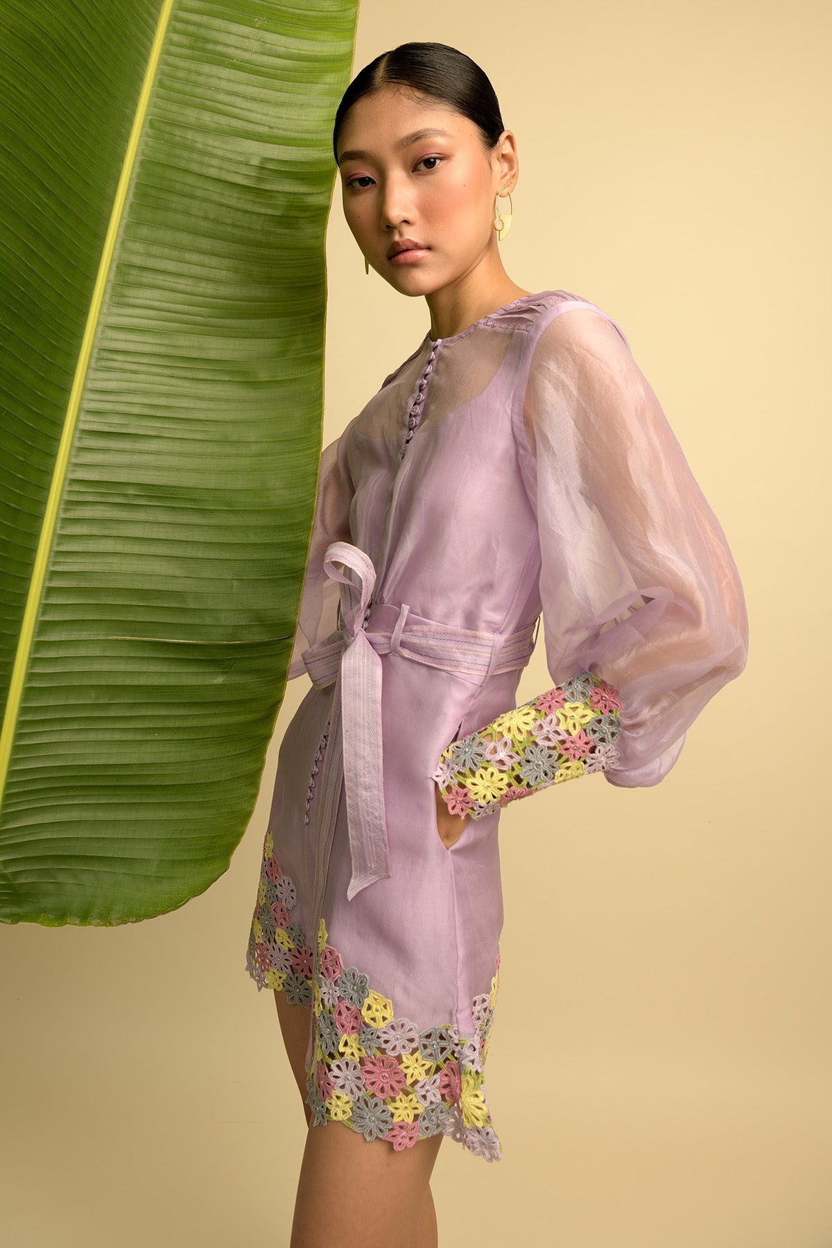 Mauve Organza Playsuit With Multicoloured Michaelmas