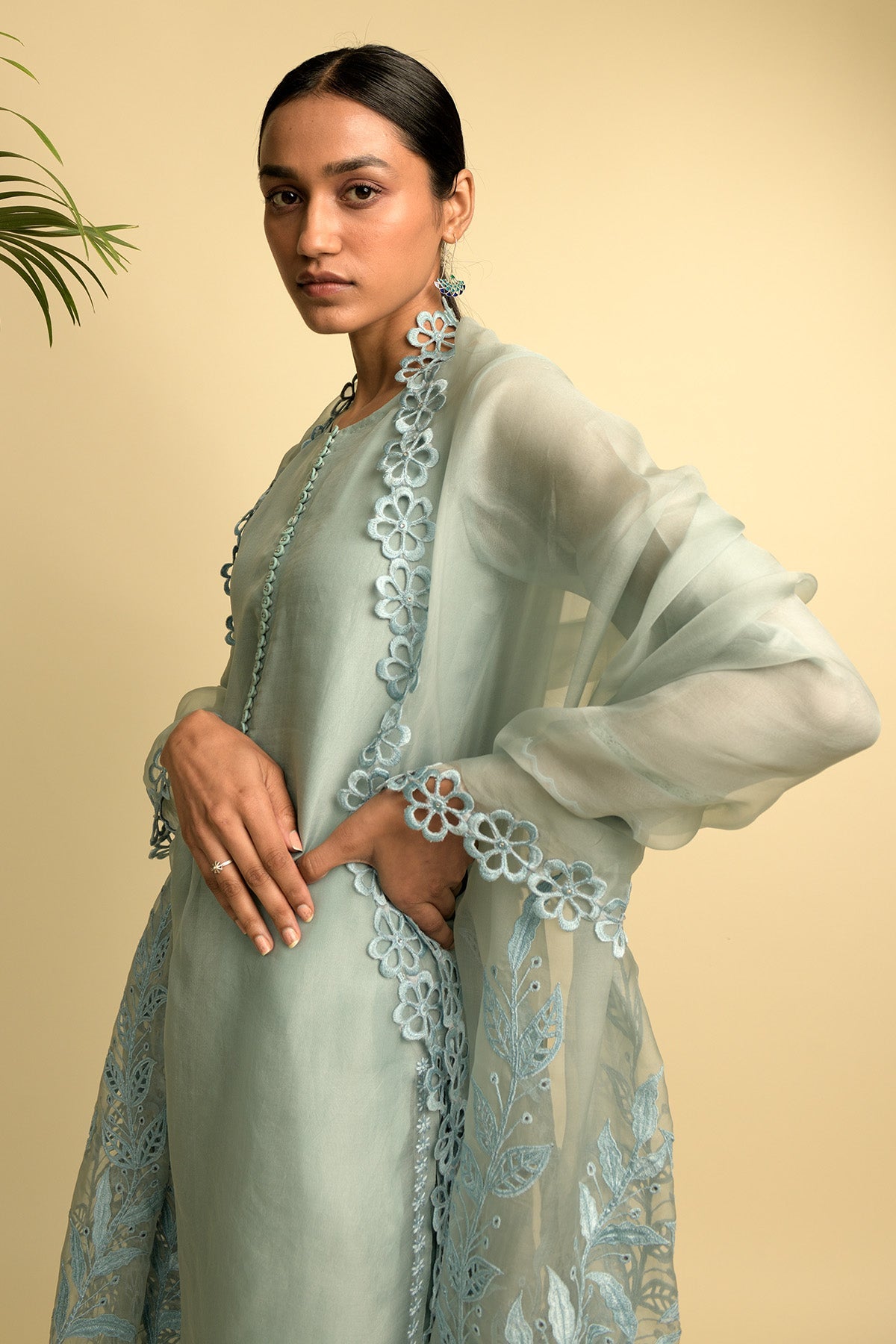 Sheer Organza Grey Blue Kurta