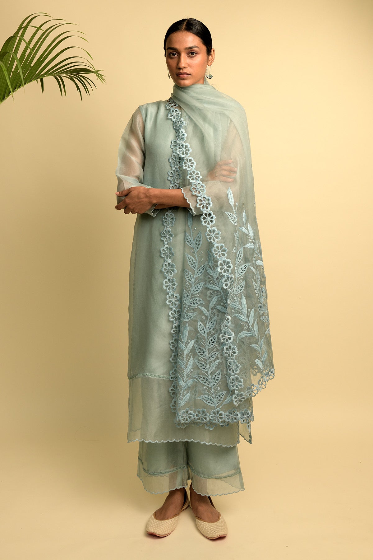 Sheer Organza Grey Blue Kurta