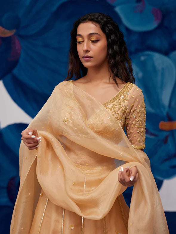 Imperial Golden Silk Organza Lehenga Set