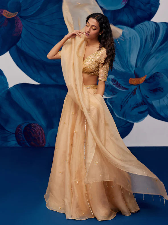 Imperial Golden Silk Organza Lehenga Set