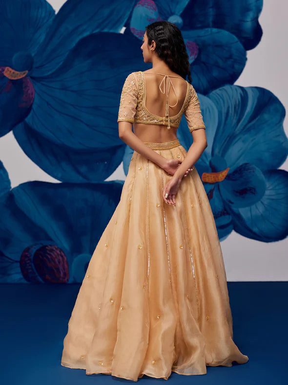 Imperial Golden Silk Organza Lehenga Set