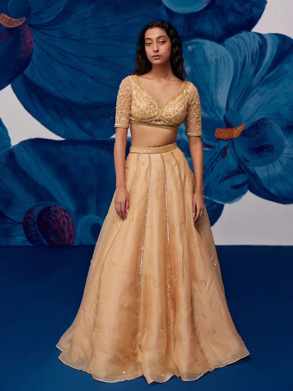 Imperial Golden Silk Organza Lehenga Set
