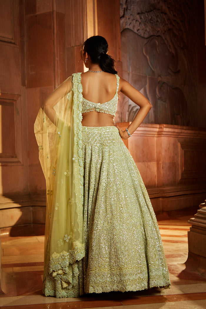 Lime Green Tulle Lehenga Choli Dupatta Set